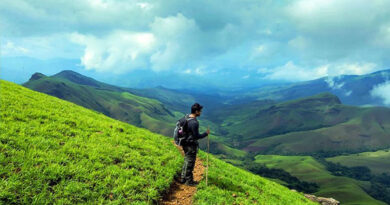 A Thriving Real Estate Commercial Villa Plot in Goa