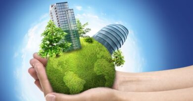 Eco-Friendly Homes Transforming India's Real Estate Landscape
