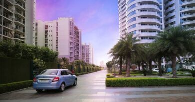 10 Reasons to Invest in Noida and Buy Flats in Noida