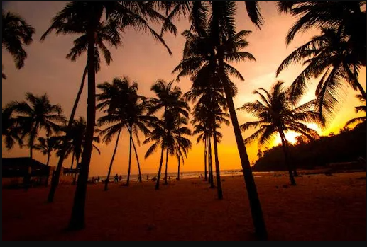 Why Buying Plot/Land in Goa Is a Smart Investment Now