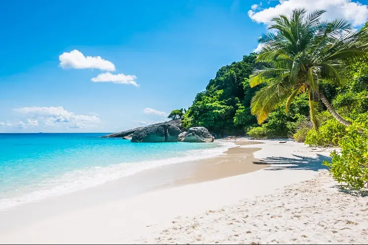 Goa 2025: From holiday haven to lifestyle hub, discover booming real estate, luxury villas, and emerging neighbourhoods driving long-term growth.