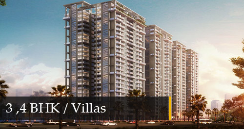 Sikka Kimaantra Greens